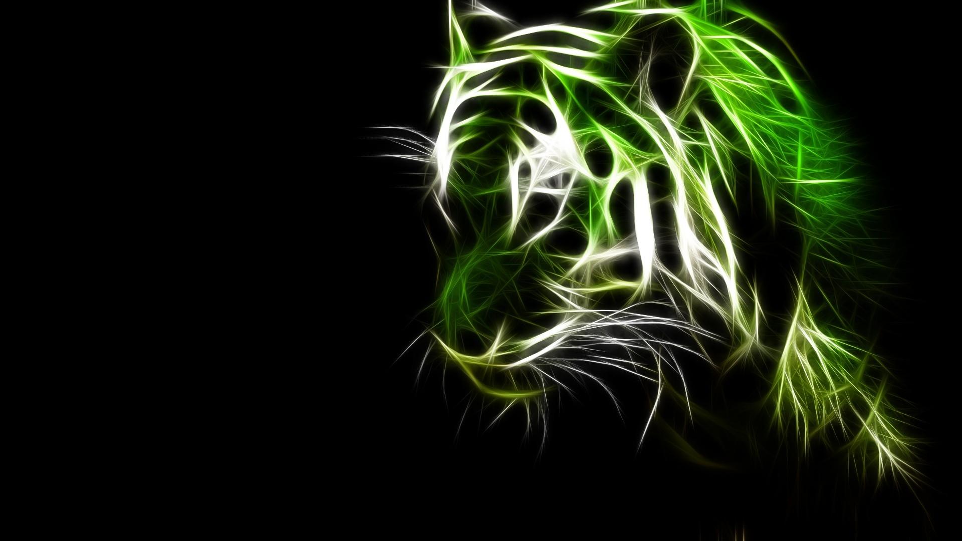 Animal Green Wallpapers Top Free Animal Green Backgrounds