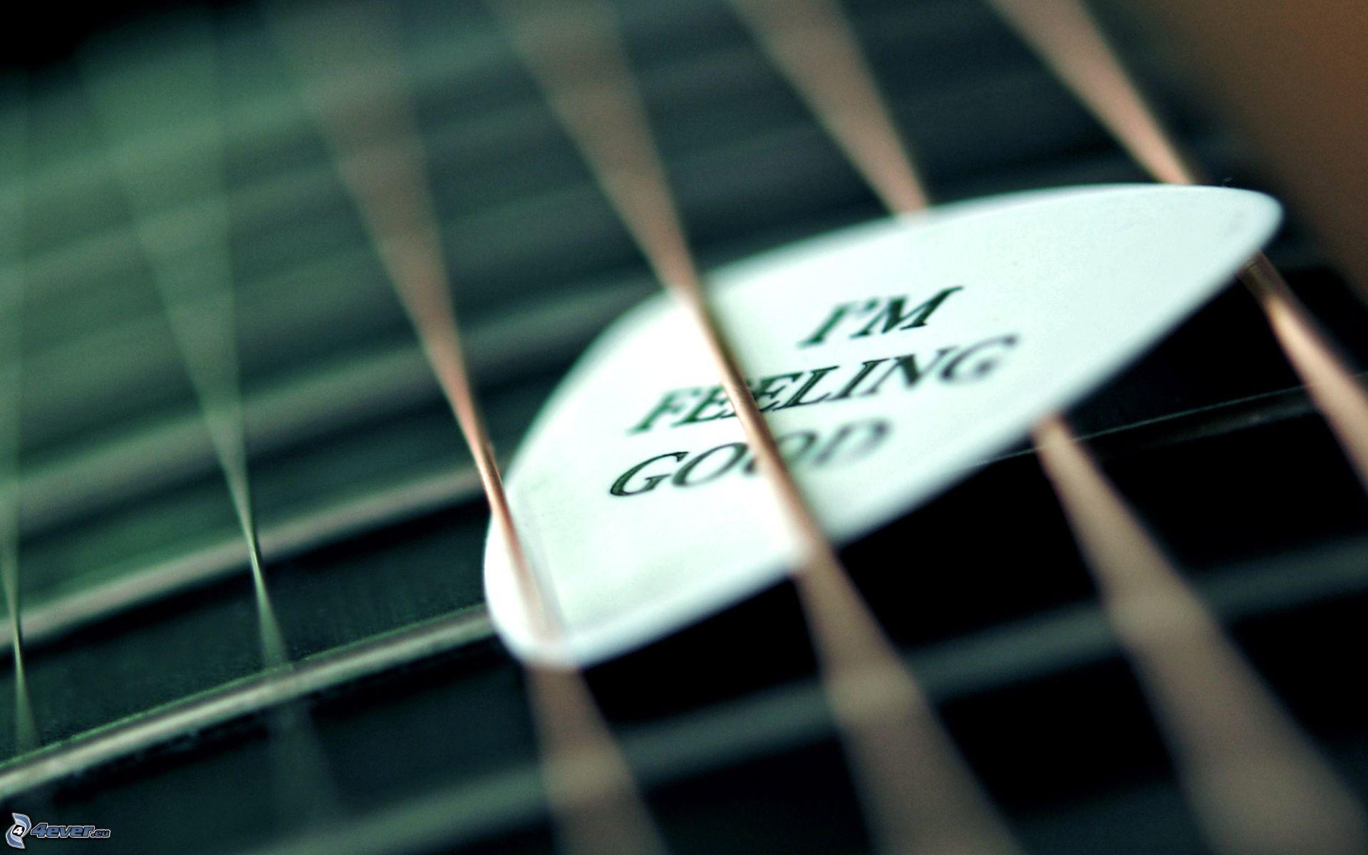 Guitar Pick Wallpapers Top Free Guitar Pick Backgrounds WallpaperAccess