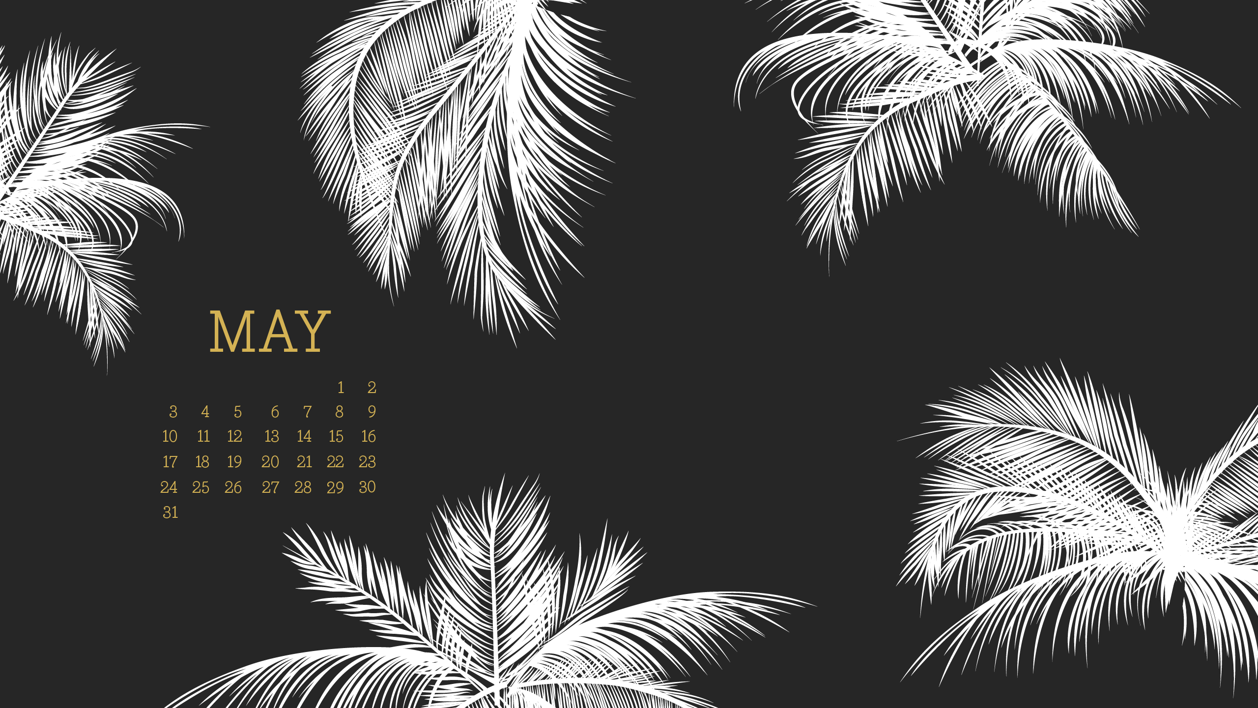 Black Palm Wallpapers Top Free Black Palm Backgrounds WallpaperAccess