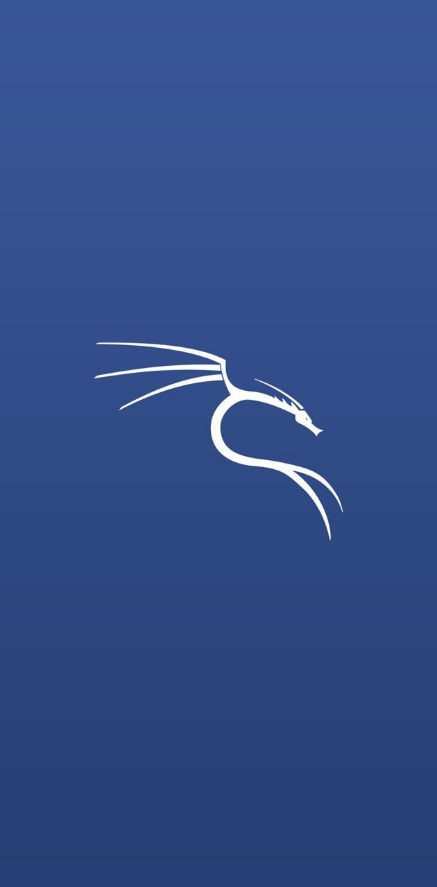 Kali Linux Phone Wallpapers Top Free Kali Linux Phone Backgrounds