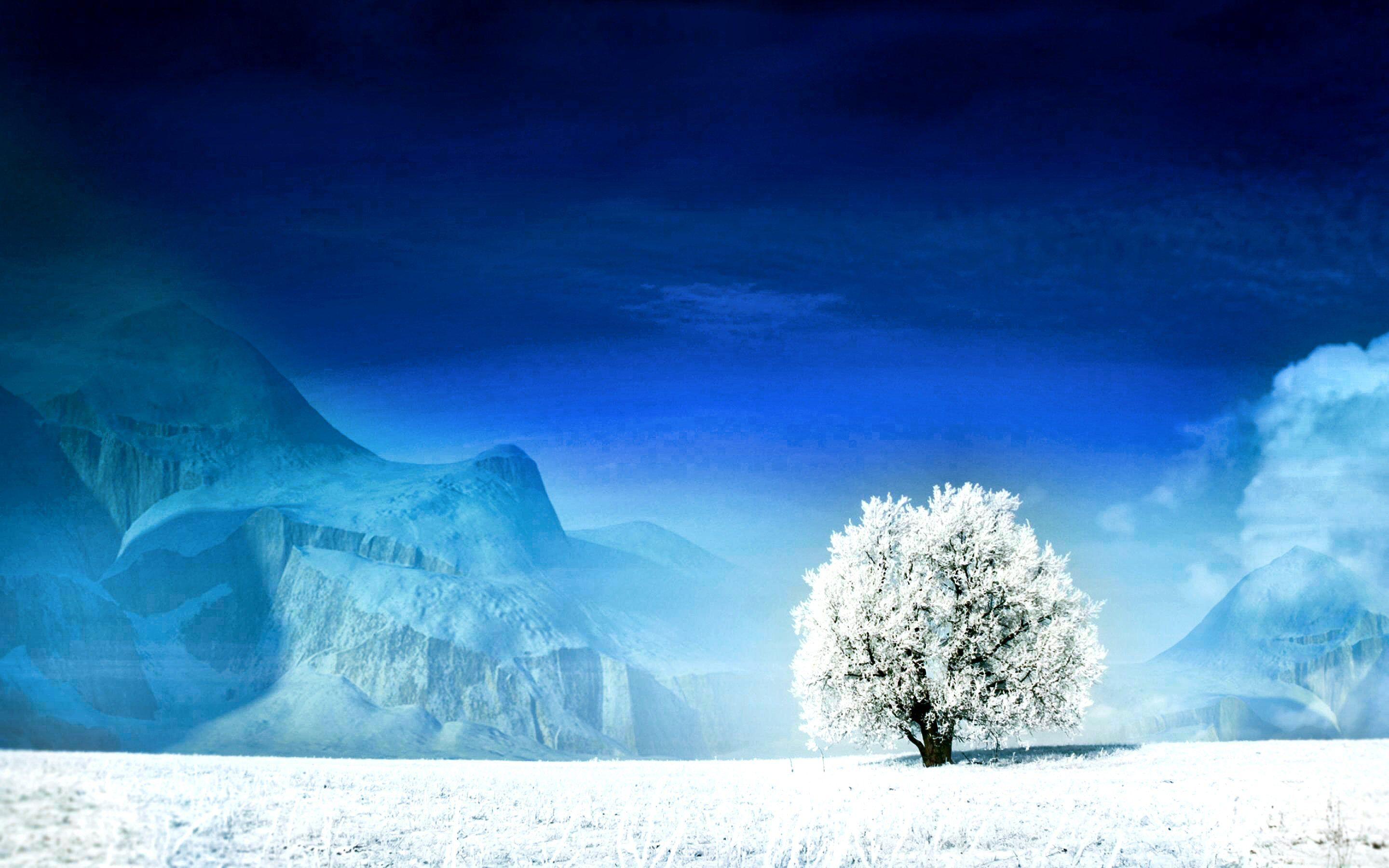 White Tree Wallpapers Top Free White Tree Backgrounds WallpaperAccess