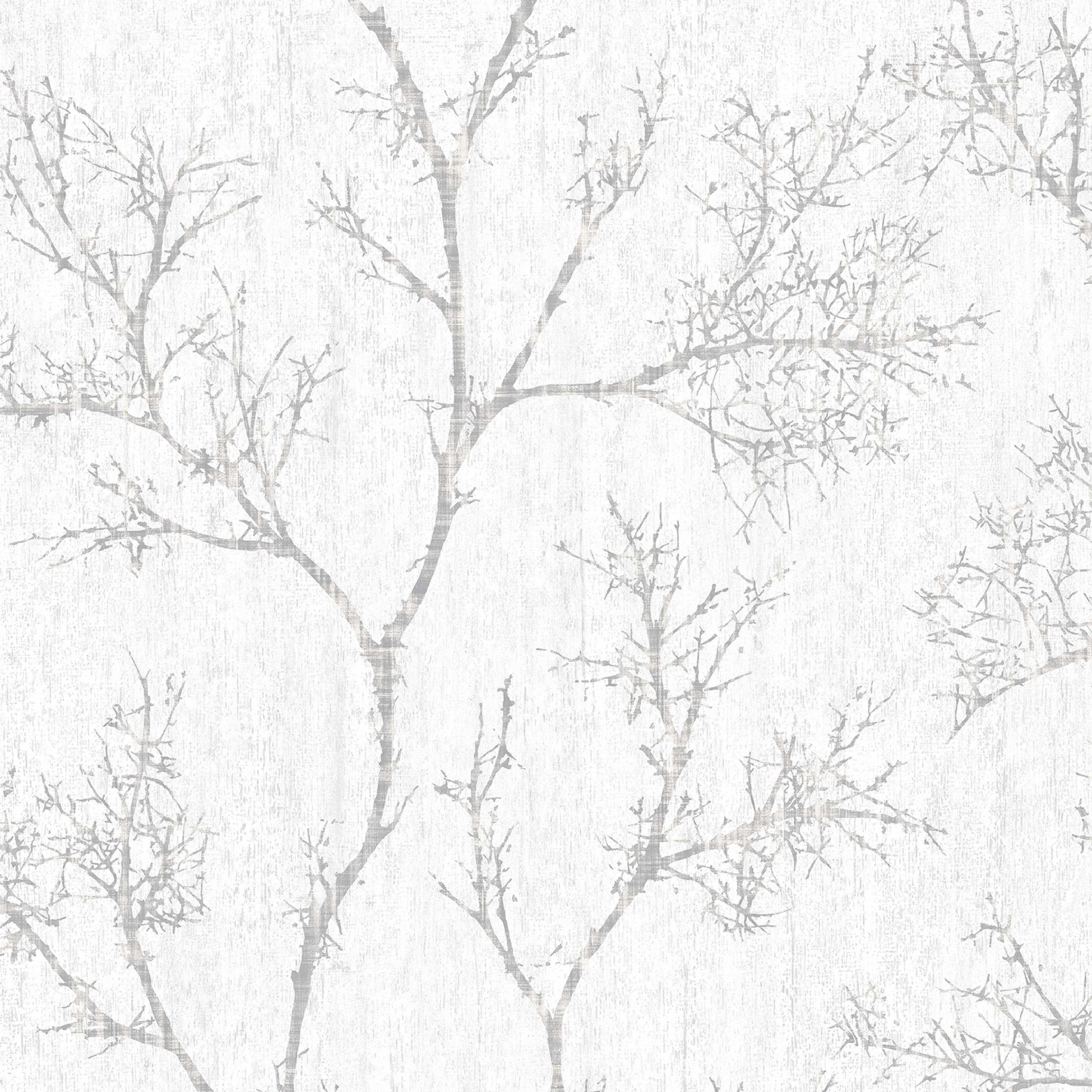 White Tree Wallpapers Top Free White Tree Backgrounds WallpaperAccess