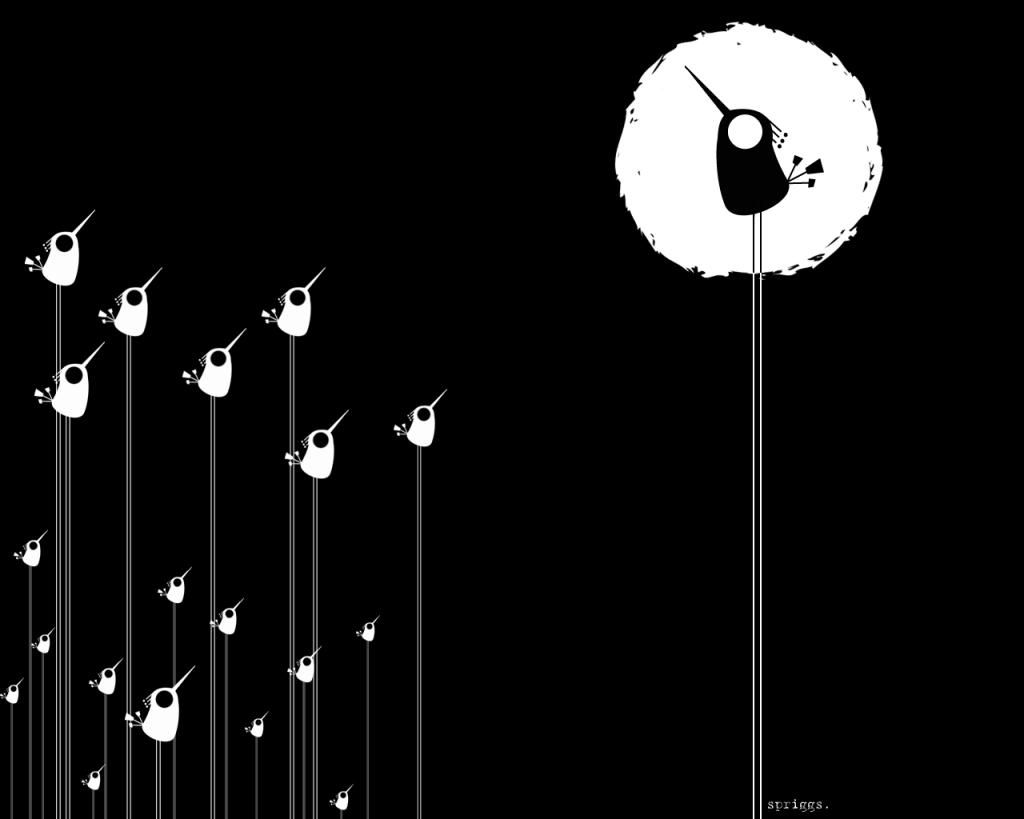 Black and White Bird Wallpapers Top Free Black and White Bird