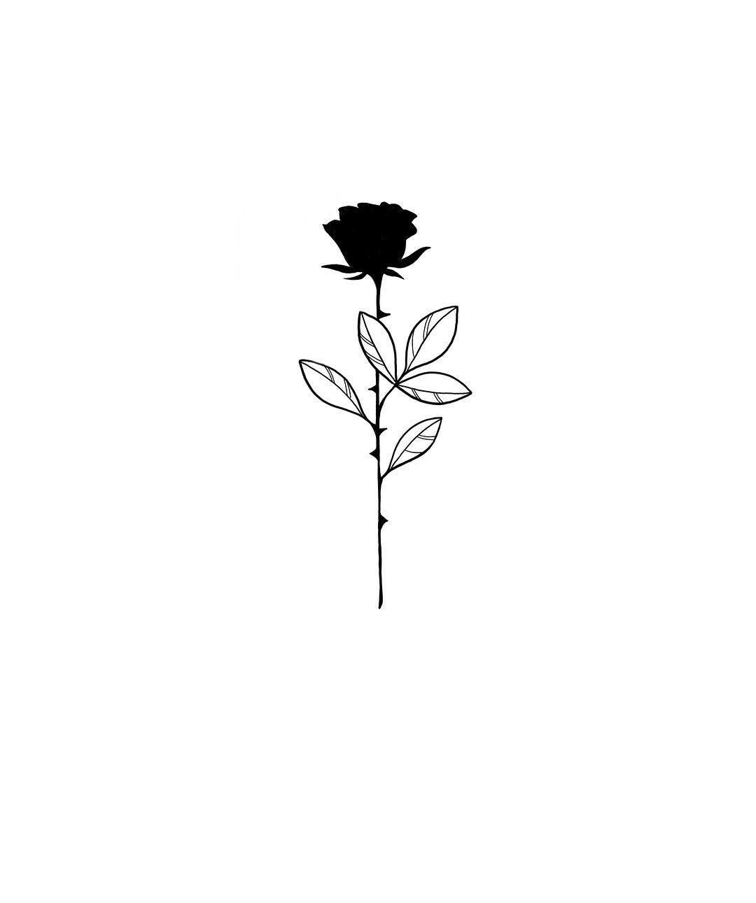 Black and White Rose Drawing Wallpapers Top Free Black and White Rose