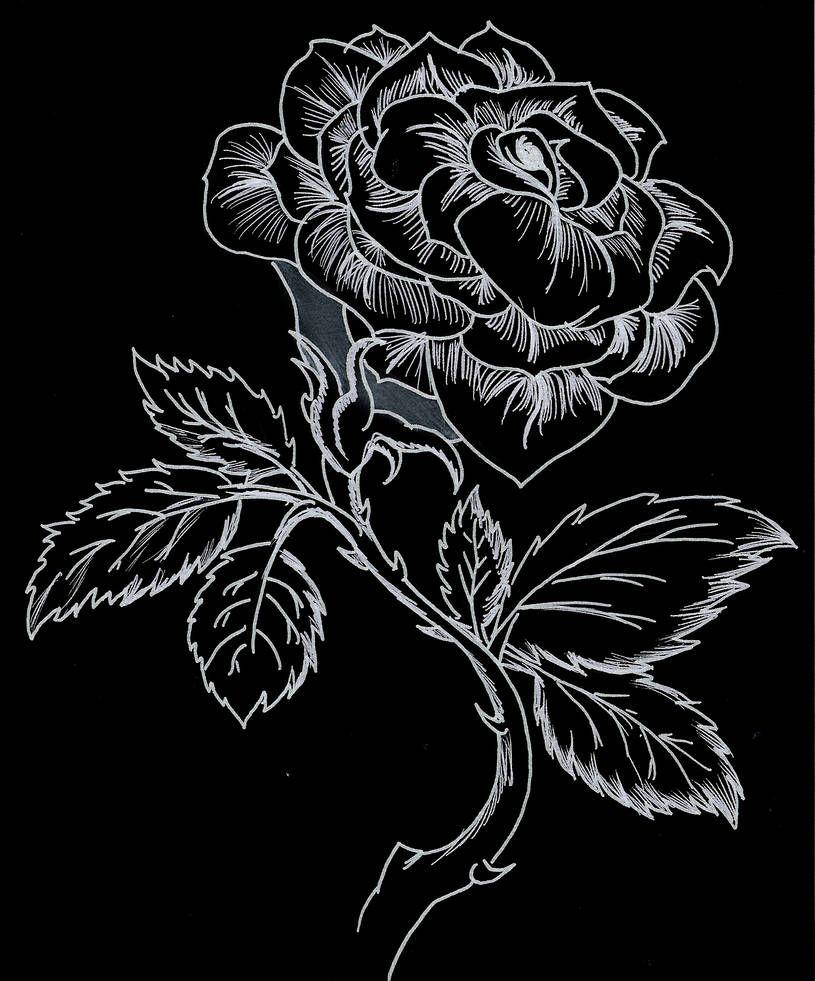 White Rose Black Background Drawing