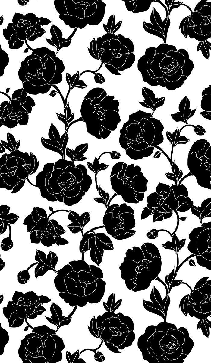 White Rose Black Background Drawing