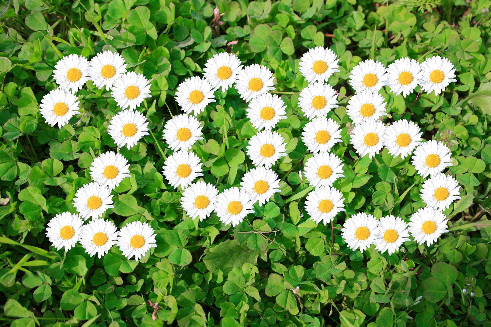 Happy Flowers Wallpapers Top Free Happy Flowers Backgrounds WallpaperAccess