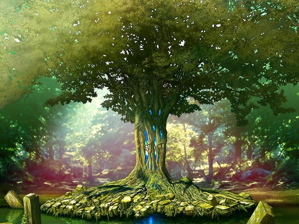 The Tree of Life Wallpapers Top Free The Tree of Life Backgrounds