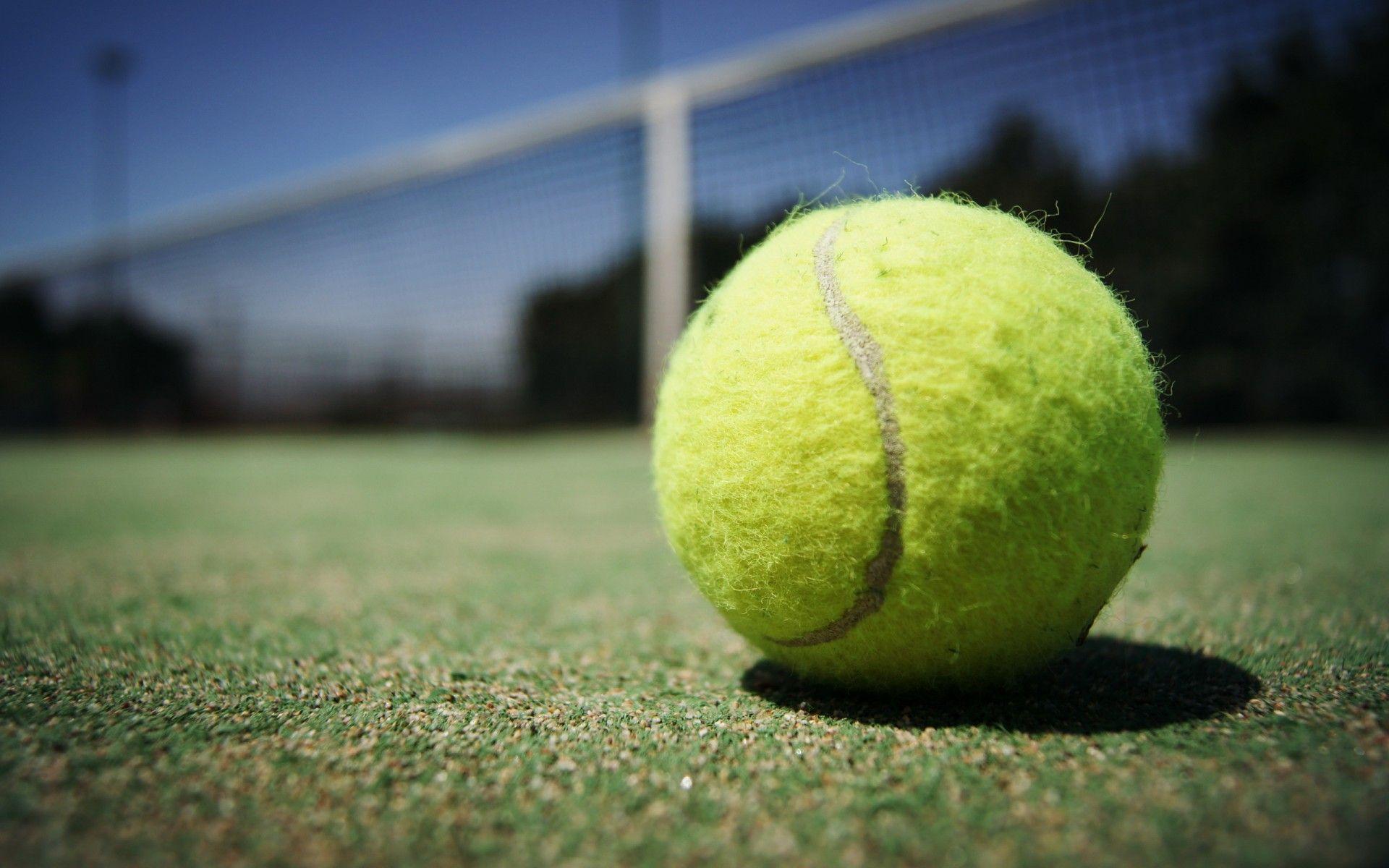 Tennis Ball Wallpapers Top Free Tennis Ball Backgrounds WallpaperAccess