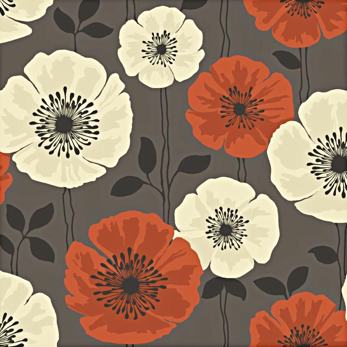 Orange Poppy Wallpapers Top Free Orange Poppy Backgrounds
