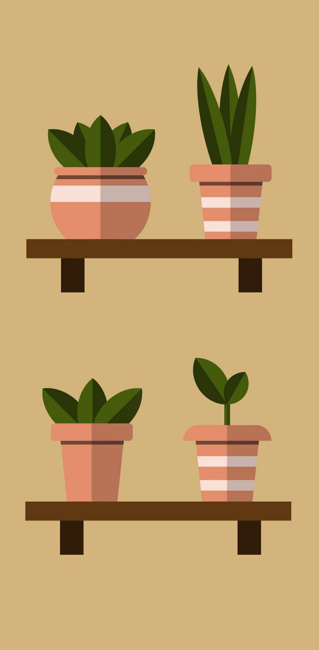 Pot Plant Wallpapers Top Free Pot Plant Backgrounds WallpaperAccess