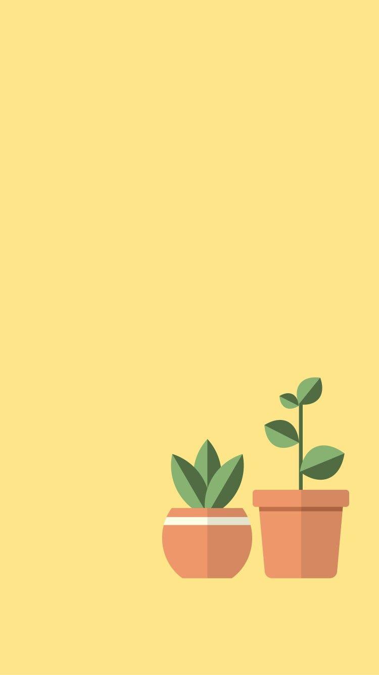 Pot Plant Wallpapers Top Free Pot Plant Backgrounds WallpaperAccess