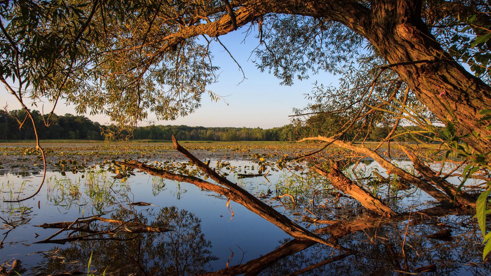 Township Wallpapers Top Free Township Backgrounds WallpaperAccess