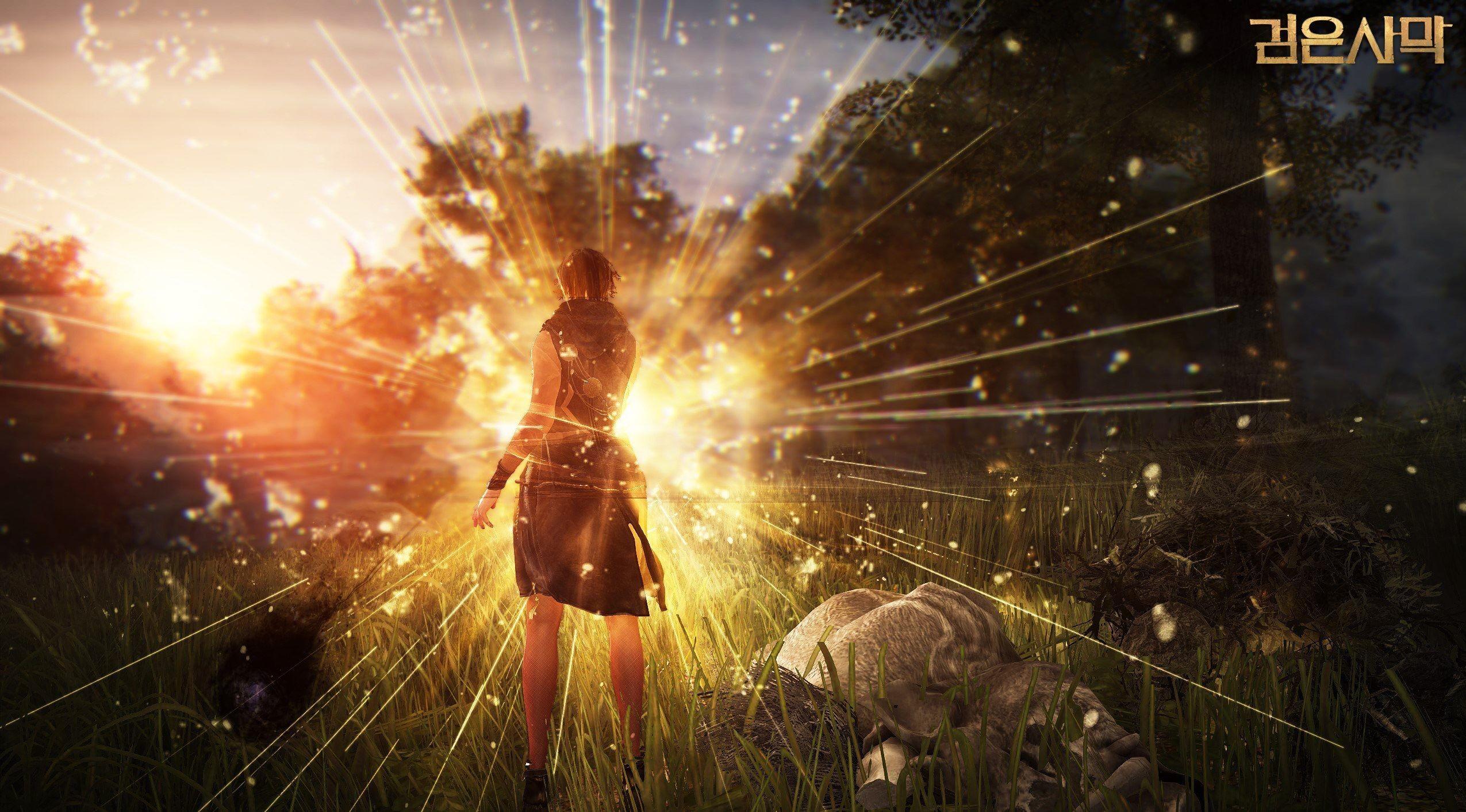 Black Desert Striker Wallpapers Top Free Black Desert Striker