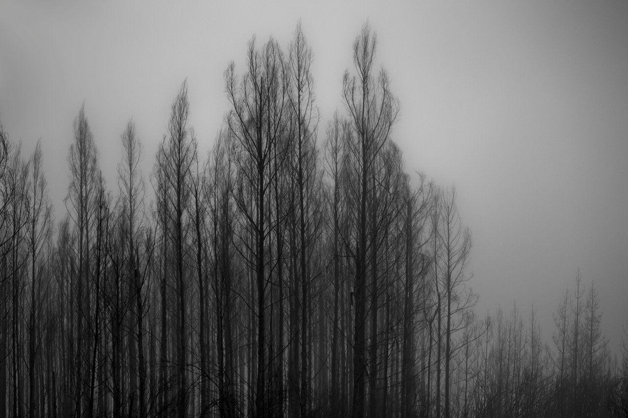 Black Metal 4K Wallpapers Top Free Black Metal 4K Backgrounds