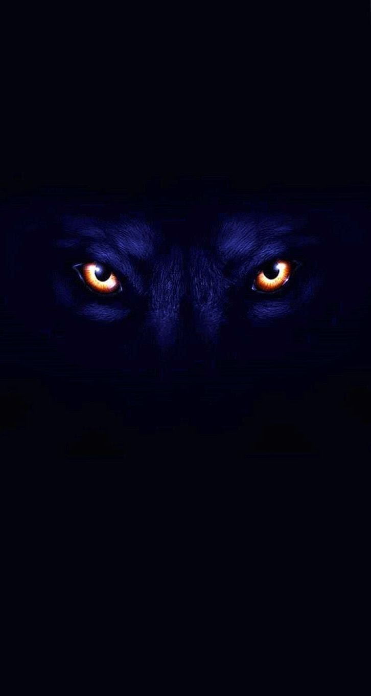 Black Wolf with Red Eyes Wallpapers Top Free Black Wolf with Red Eyes