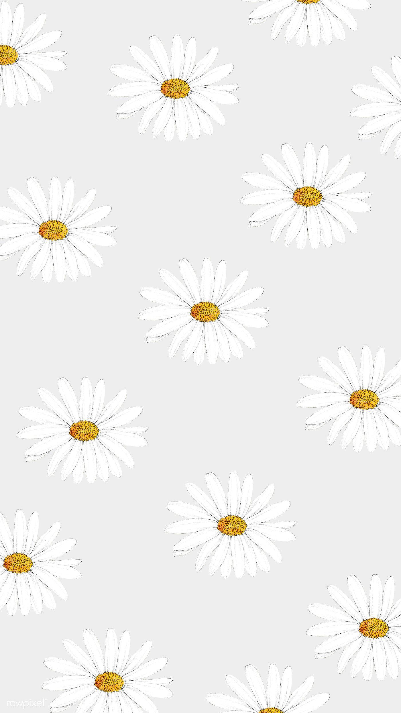 Cute White Flower Wallpapers Top Free Cute White Flower Backgrounds