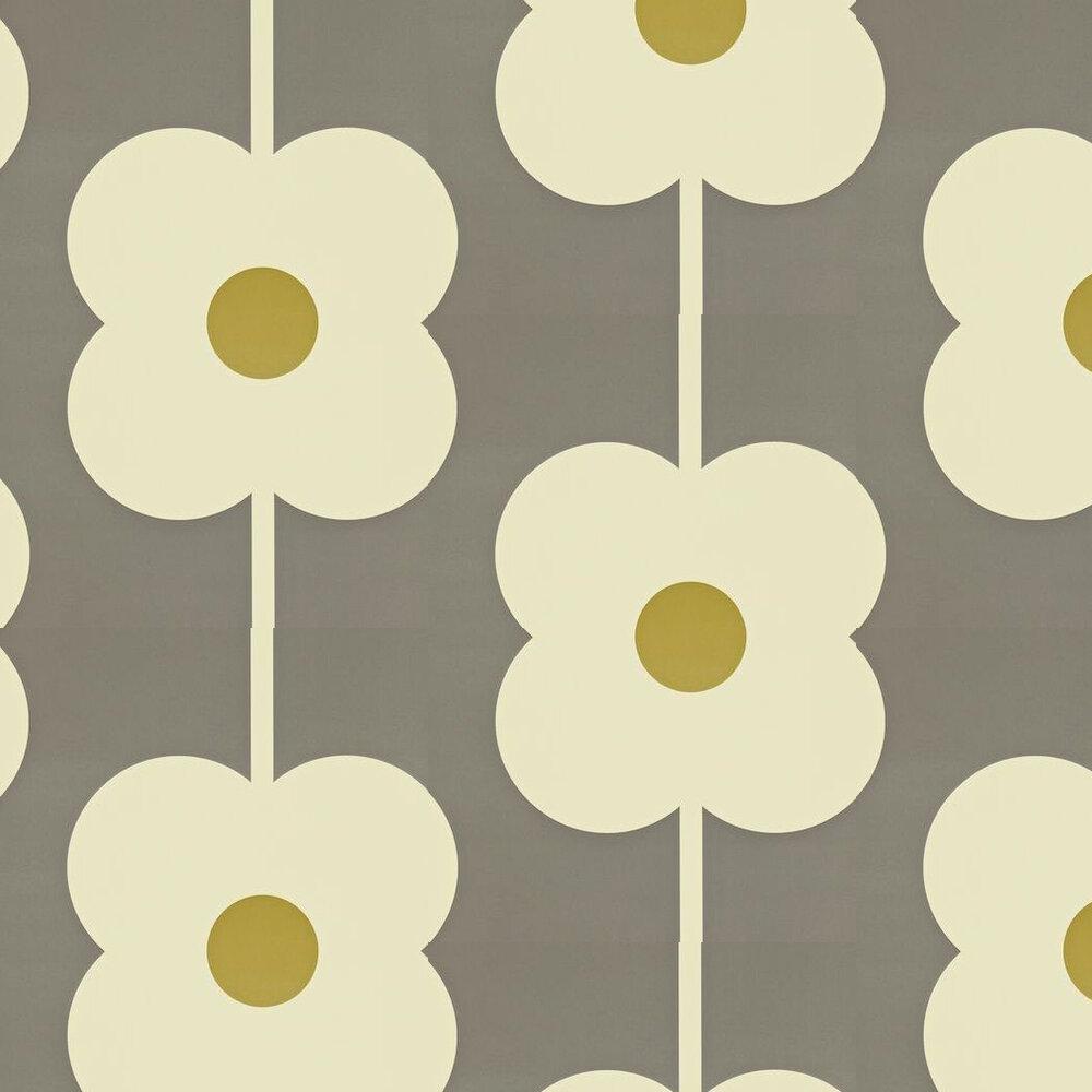 Grey and Yellow Flower Wallpapers Top Free Grey and Yellow Flower Backgrounds WallpaperAccess