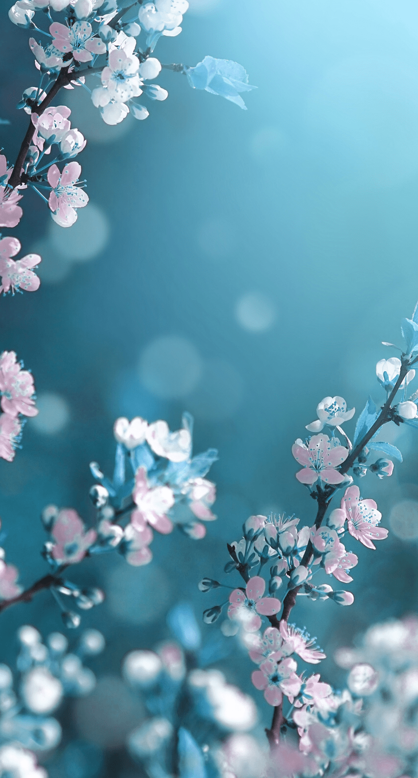 Flower Theme Wallpapers Top Free Flower Theme Backgrounds WallpaperAccess