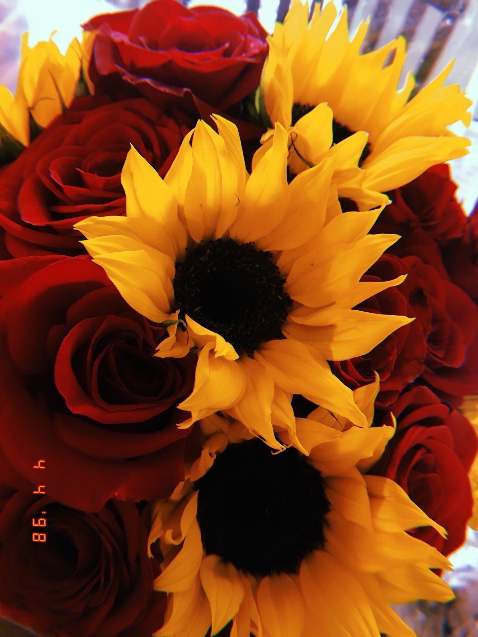 Sunflowers and Roses Aesthetic Wallpapers Top Free Sunflowers and