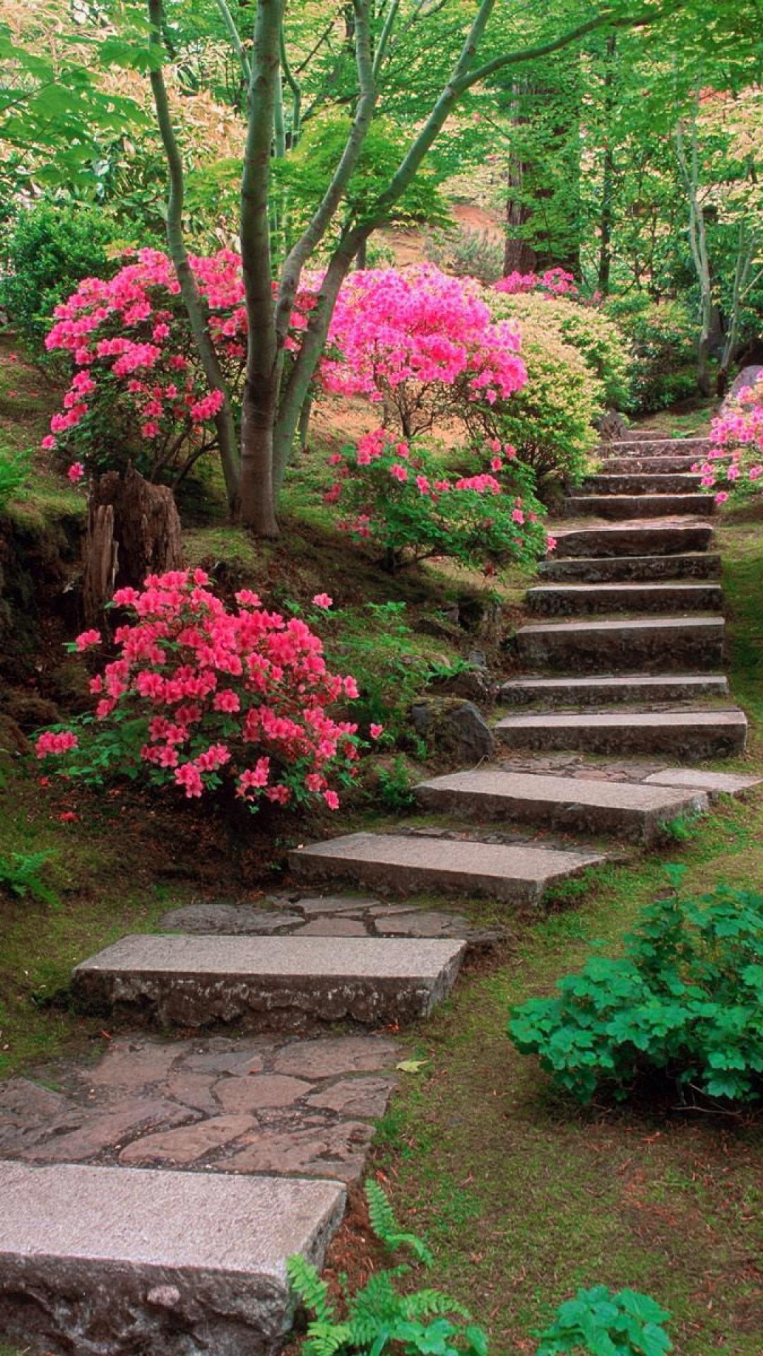 Garden Phone Wallpapers Top Free Garden Phone Backgrounds