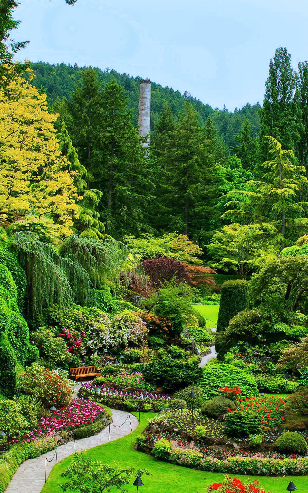 Garden Phone Wallpapers Top Free Garden Phone Backgrounds