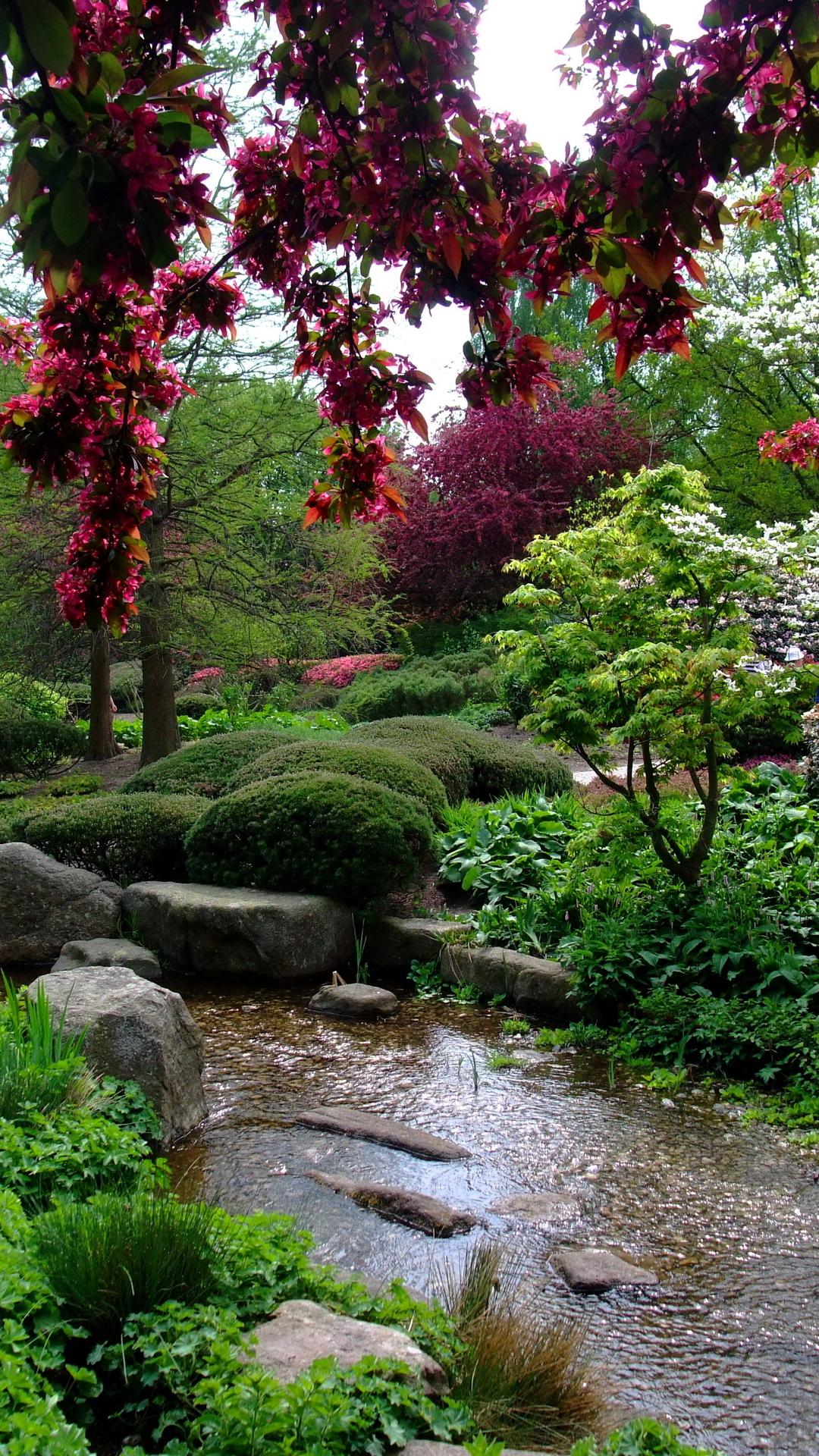 Garden Phone Wallpapers Top Free Garden Phone Backgrounds