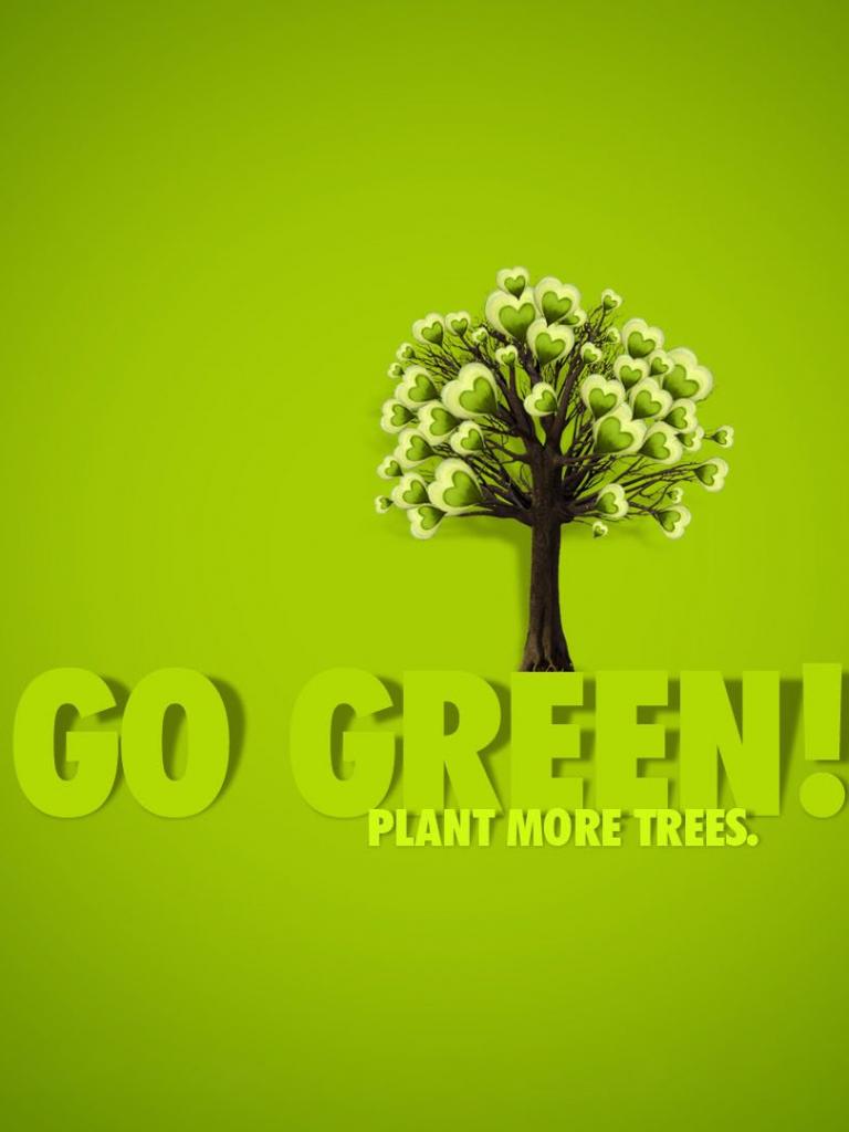 Go Green Wallpapers Top Free Go Green Backgrounds WallpaperAccess