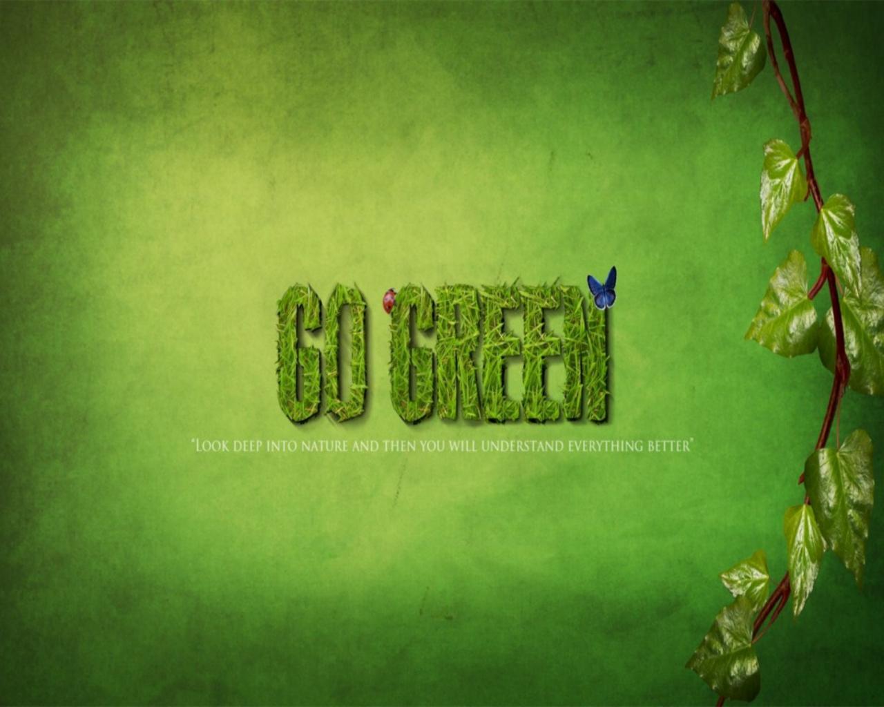 Go Green Wallpapers Top Free Go Green Backgrounds WallpaperAccess