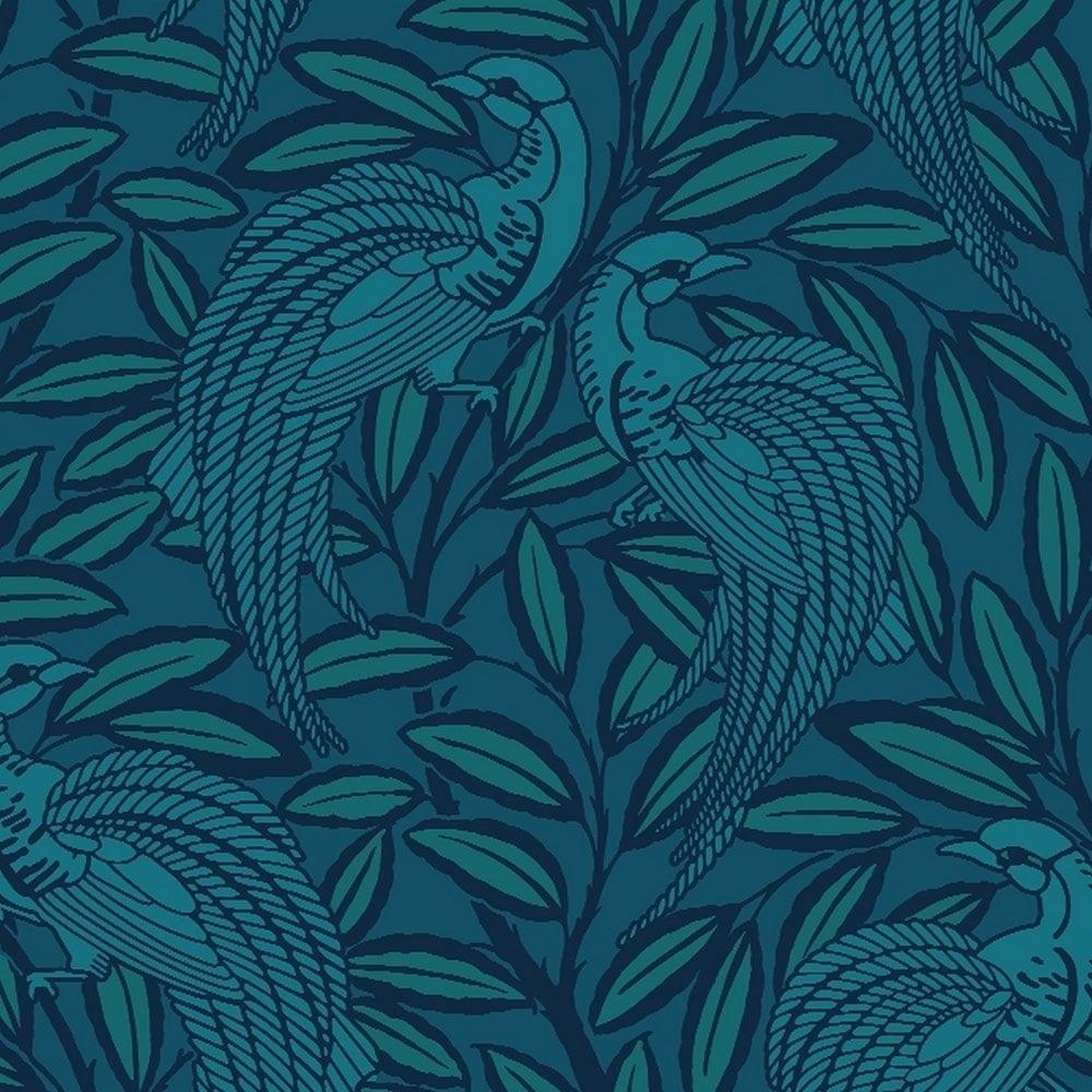 Peacock Blue Wallpapers Top Free Peacock Blue Backgrounds