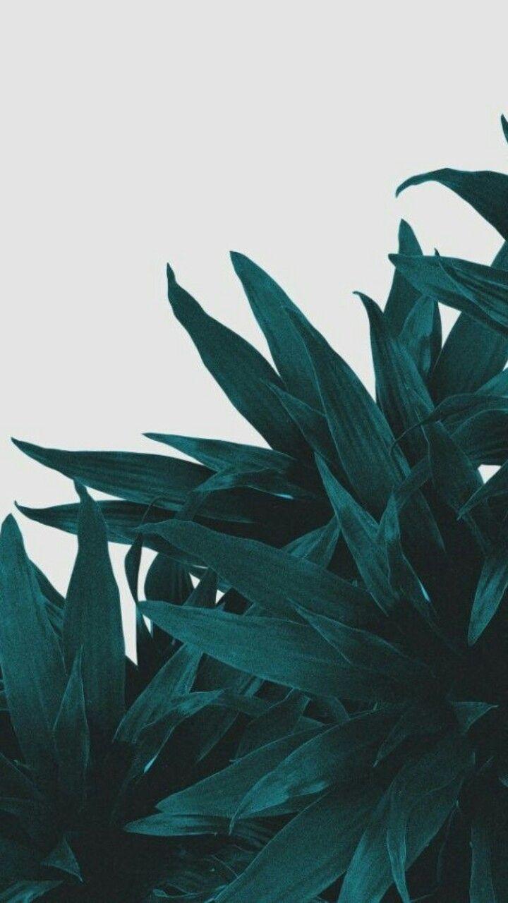White And Green Aesthetic Background