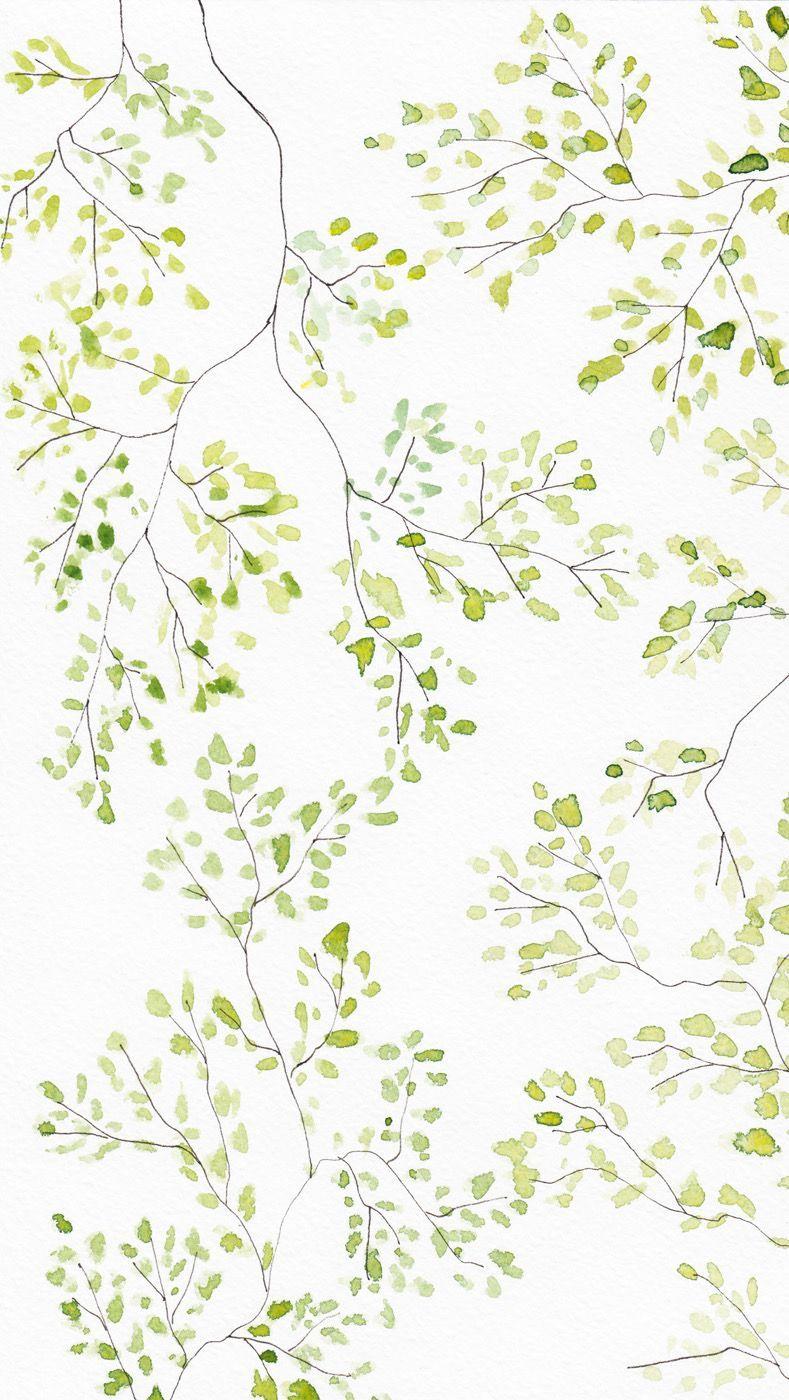 Olive Green Floral iPhone Wallpapers Top Free Olive Green Floral