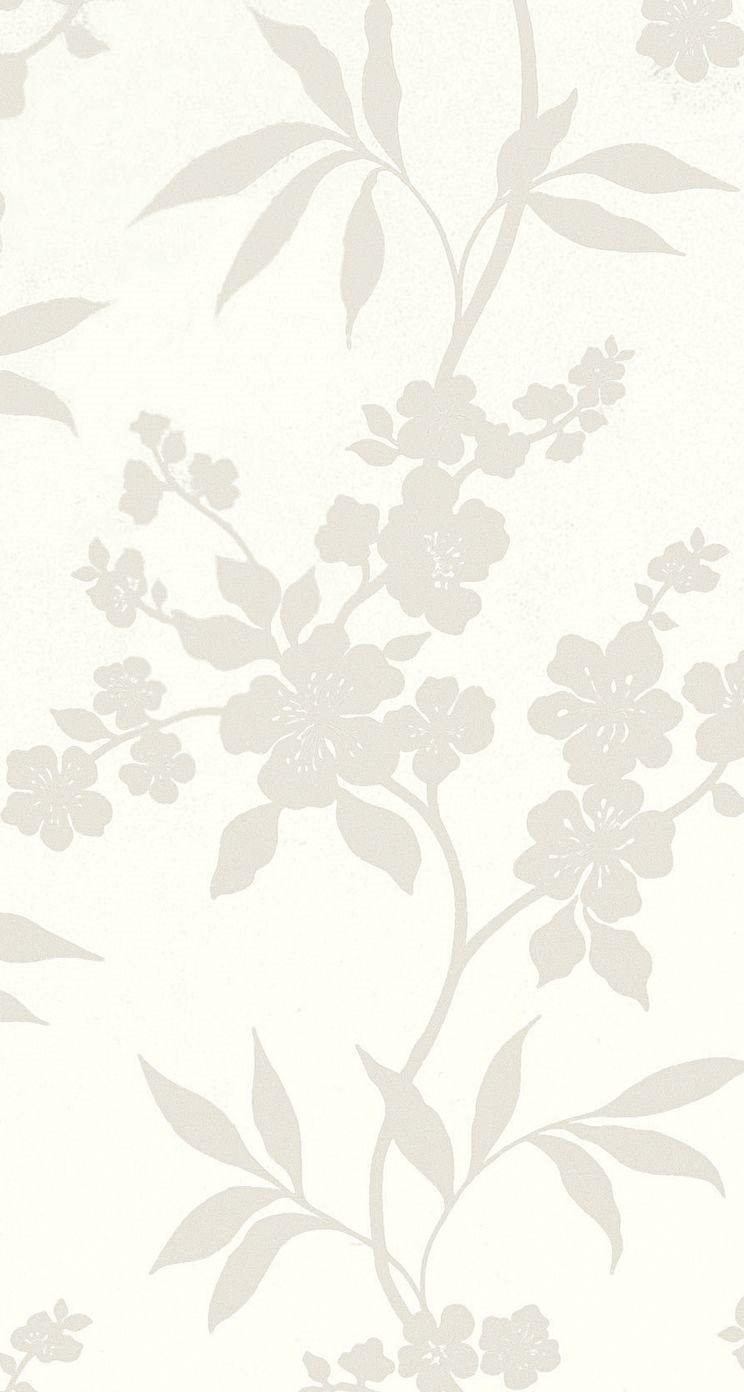 White Floral iPhone Wallpapers Top Free White Floral iPhone
