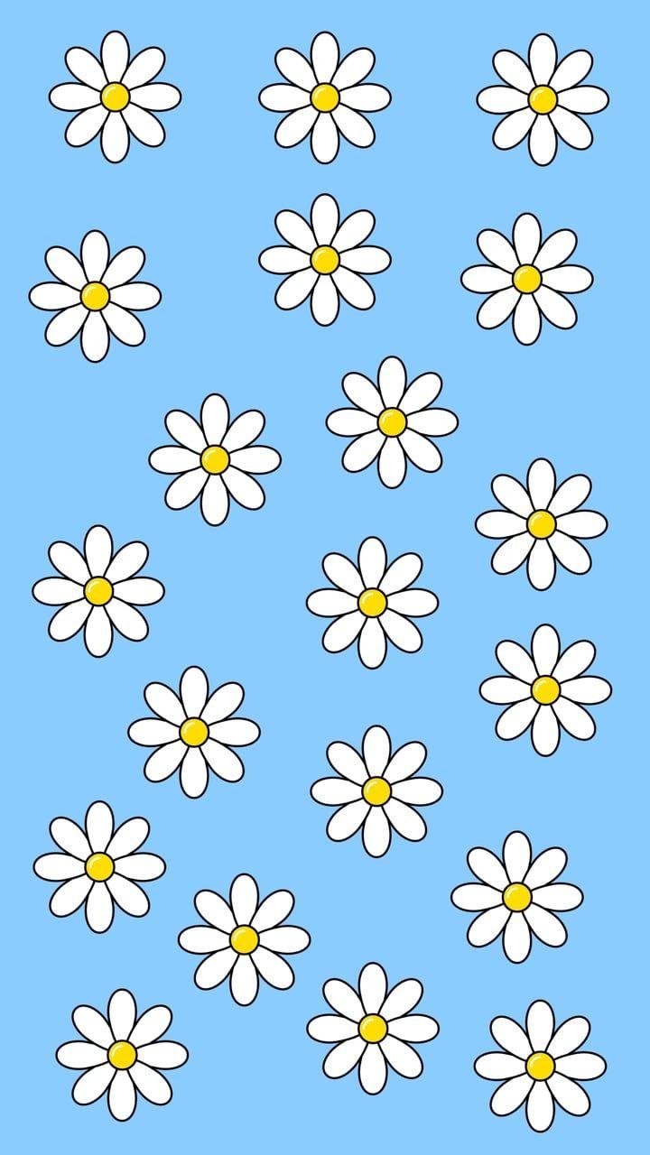 Blue Daisy Wallpapers Top Free Blue Daisy Backgrounds WallpaperAccess