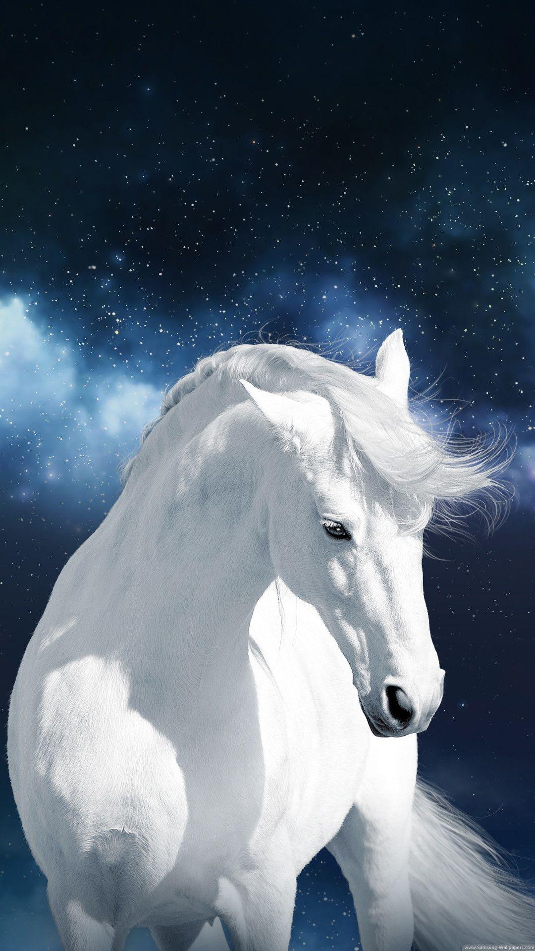 Horse Galaxy Wallpapers Top Free Horse Galaxy Backgrounds
