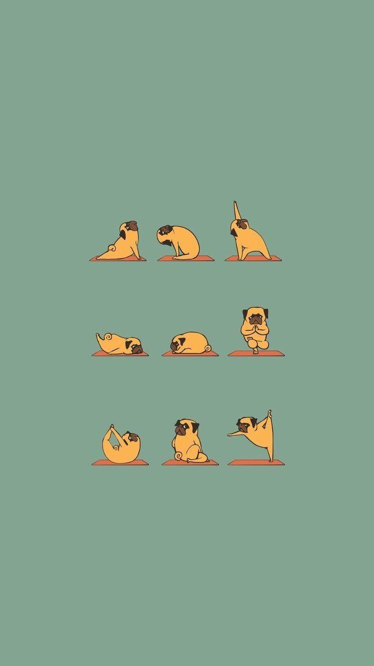 Funny Aesthetic Wallpapers Top Free Funny Aesthetic Backgrounds