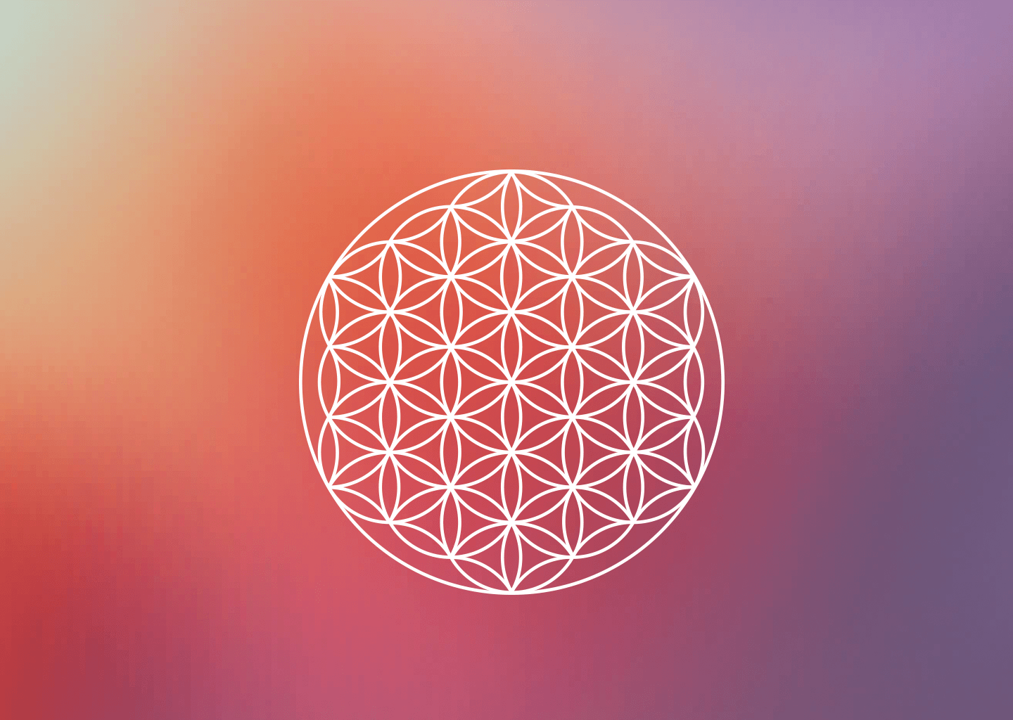 Flower of Life Wallpapers Top Free Flower of Life Backgrounds