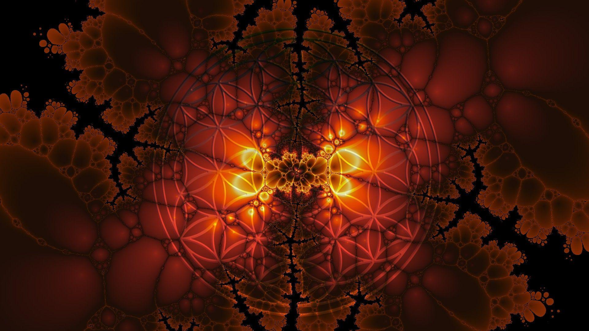 Flower of Life Wallpapers Top Free Flower of Life Backgrounds