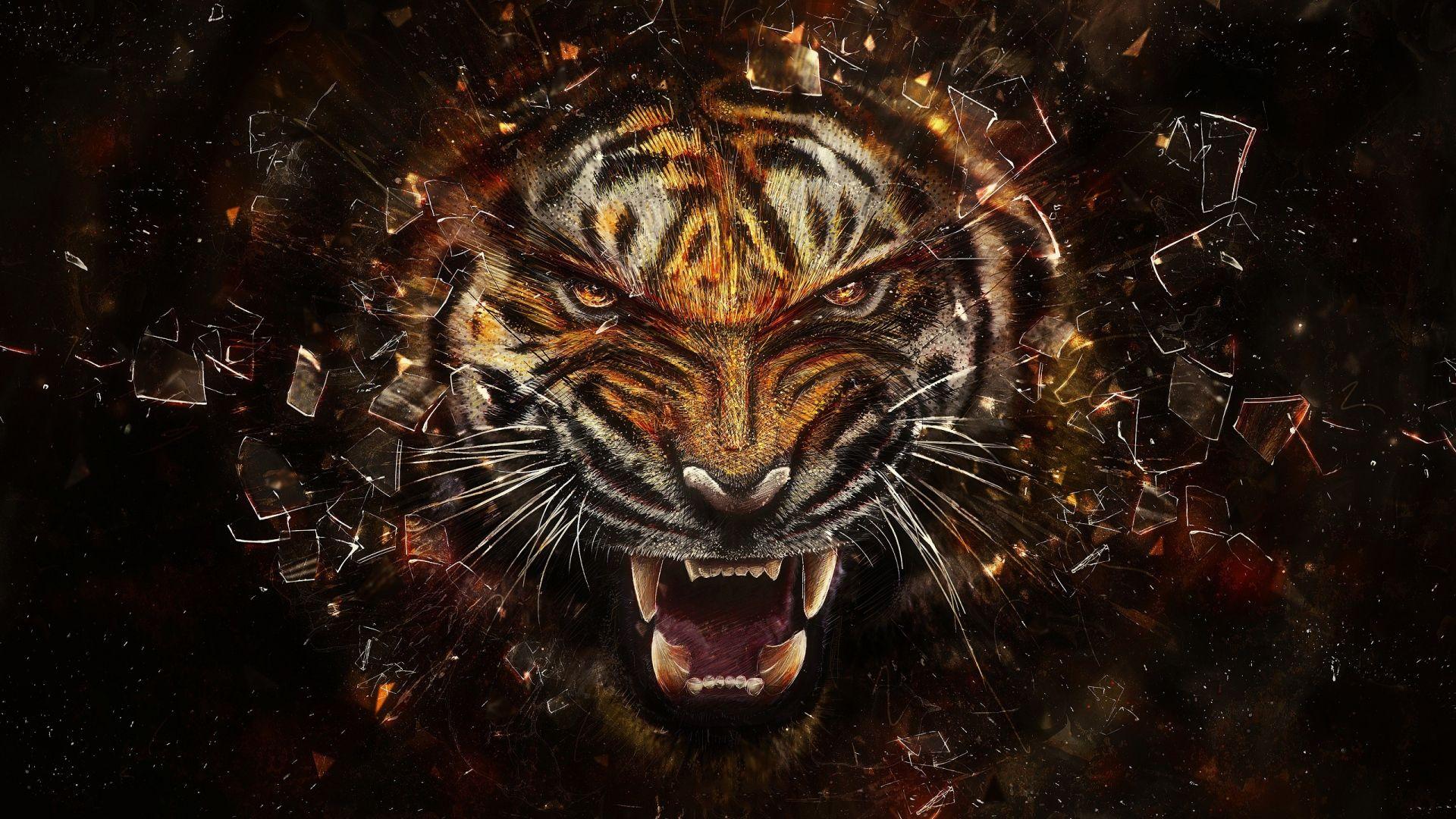 Tiger vs Dragon Wallpapers Top Free Tiger vs Dragon Backgrounds