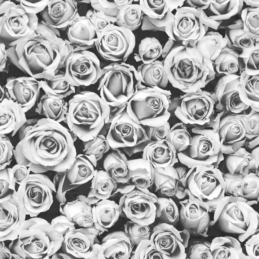 Grey Floral Wallpapers Top Free Grey Floral Backgrounds WallpaperAccess
