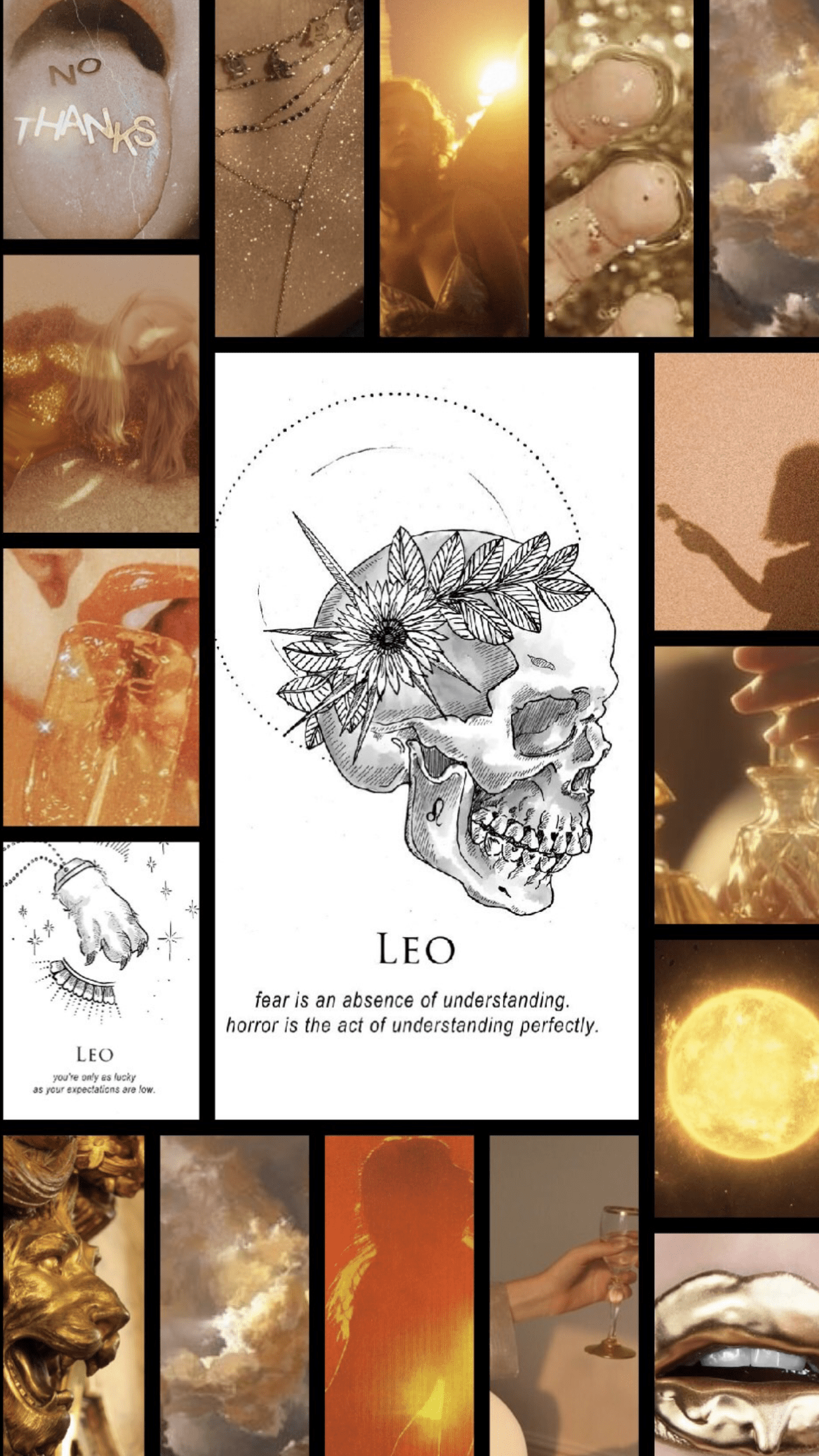 Leo Aesthetic Wallpapers Top Free Leo Aesthetic Backgrounds