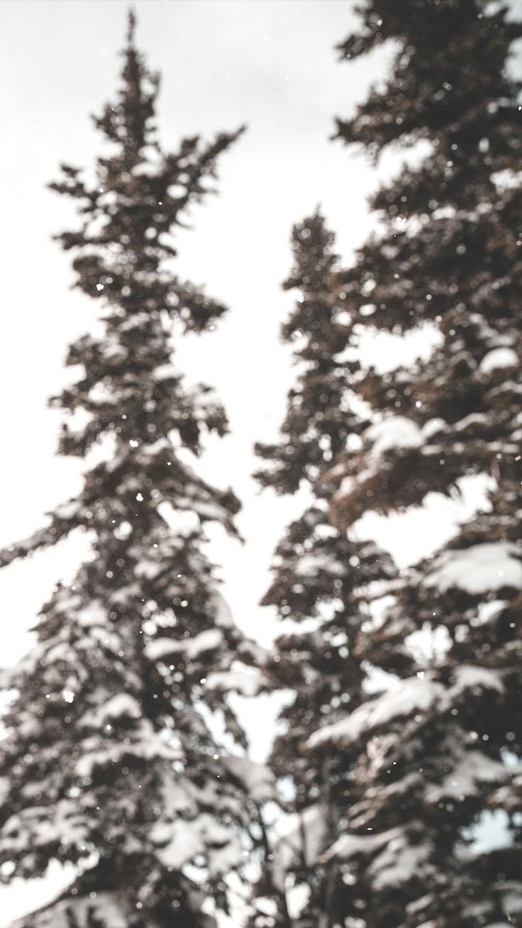 White Christmas iPhone Wallpapers Top Free White Christmas iPhone