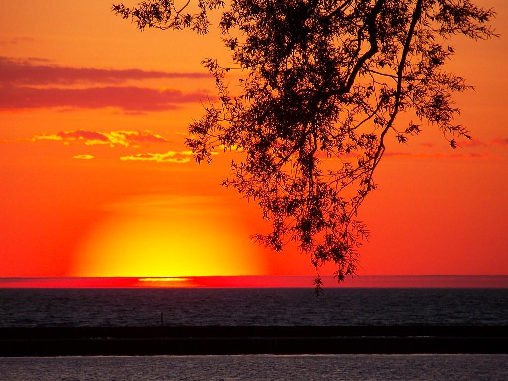 Lion King Sunset Wallpapers Top Free Lion King Sunset Backgrounds