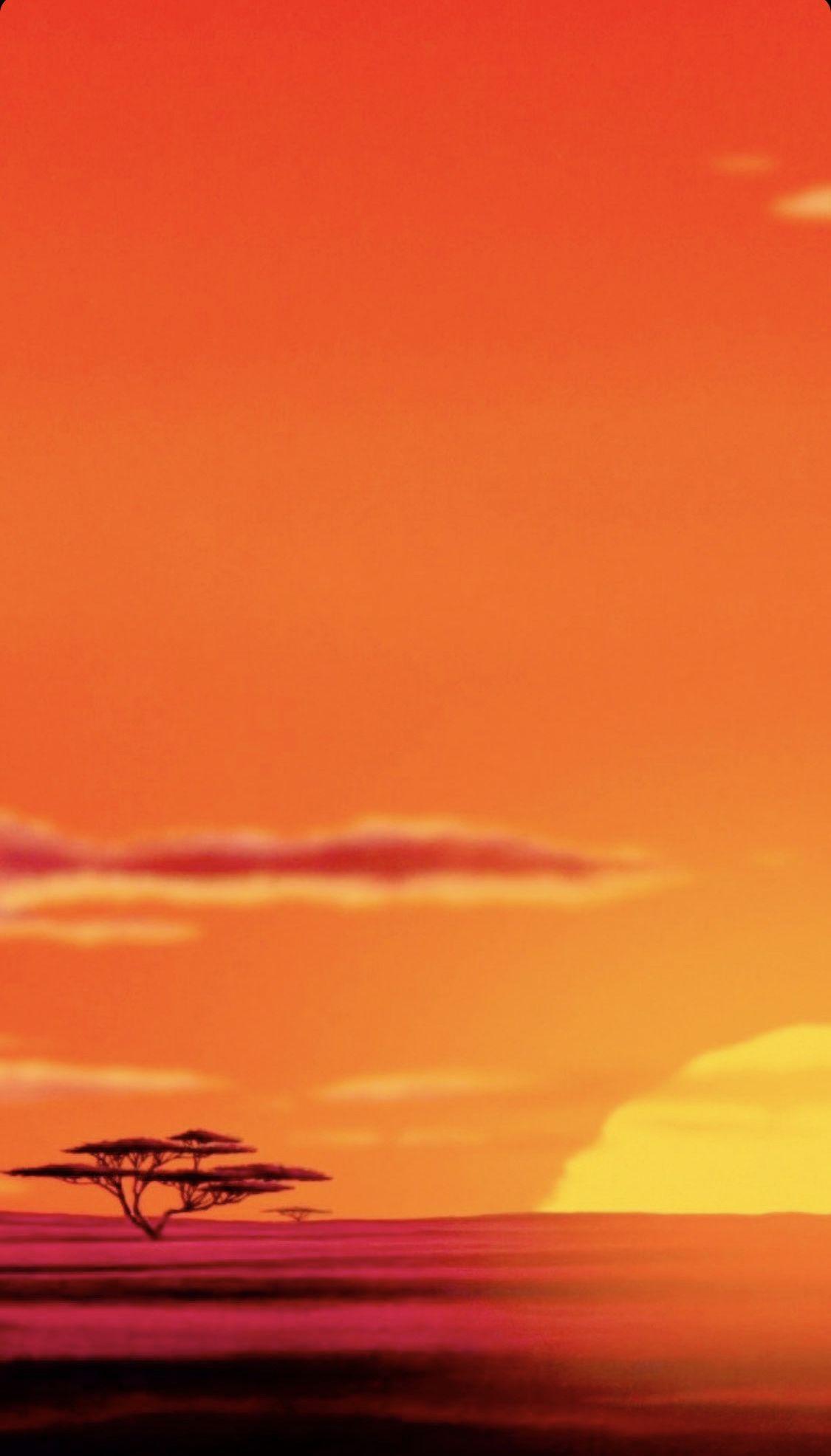 Lion King Sunset Wallpapers Top Free Lion King Sunset Backgrounds
