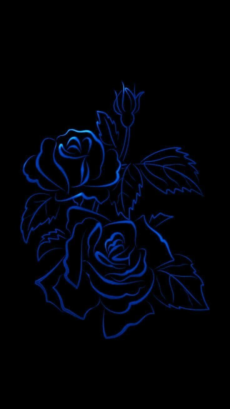 Black Blue Rose Wallpapers Top Free Black Blue Rose Backgrounds