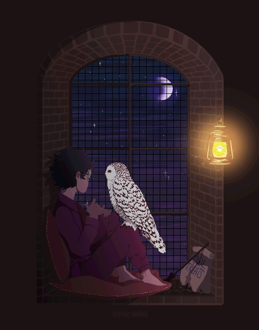 Hedwig iPhone Wallpapers Top Free Hedwig iPhone Backgrounds