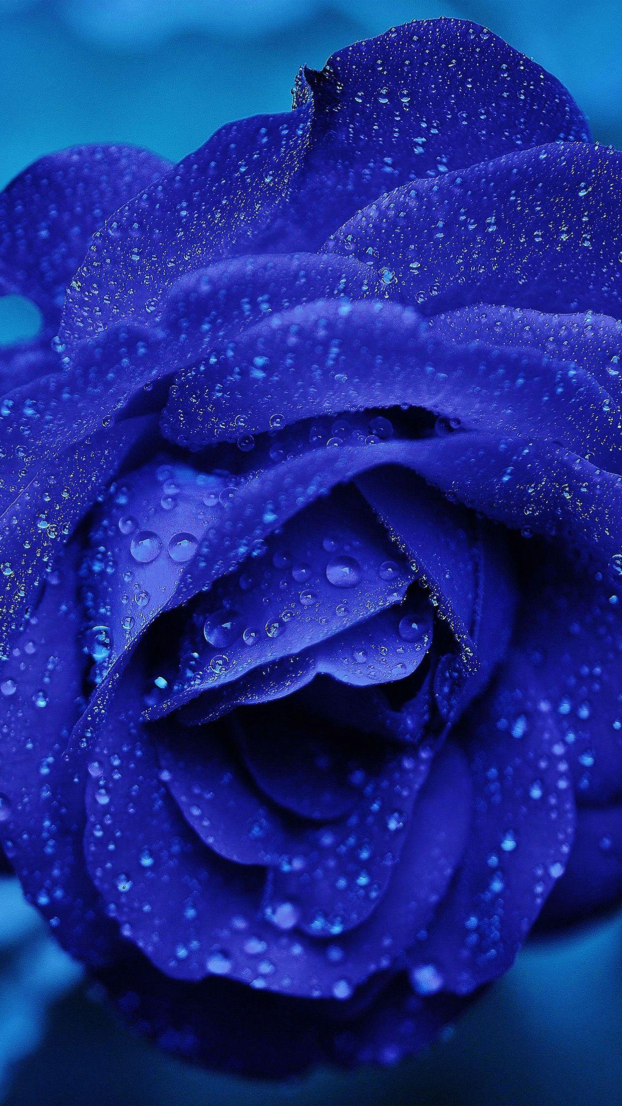Blue Rain Wallpapers Top Free Blue Rain Backgrounds WallpaperAccess