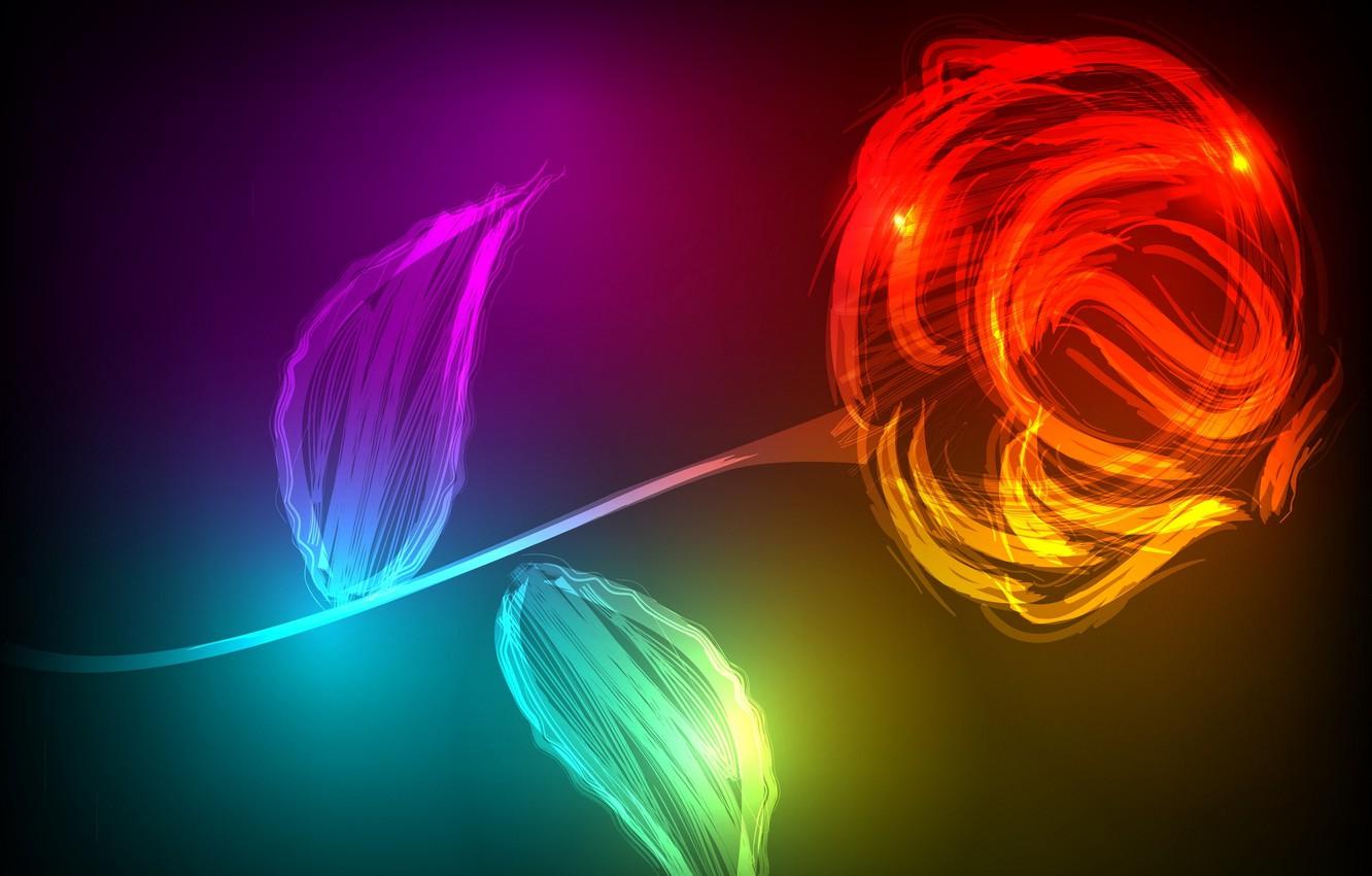 Glow Rose Wallpapers Top Free Glow Rose Backgrounds WallpaperAccess