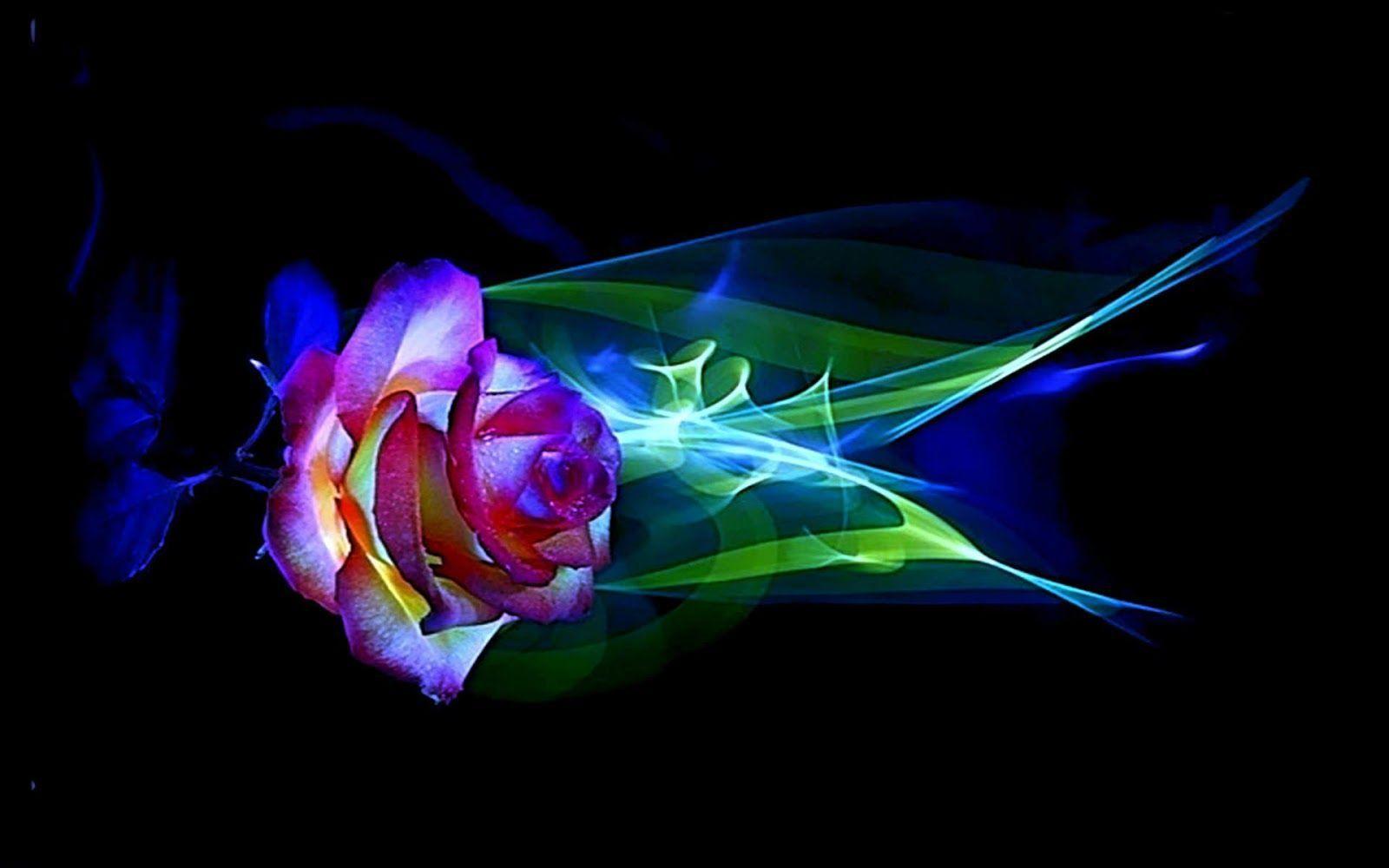 Glow Rose Wallpapers Top Free Glow Rose Backgrounds WallpaperAccess