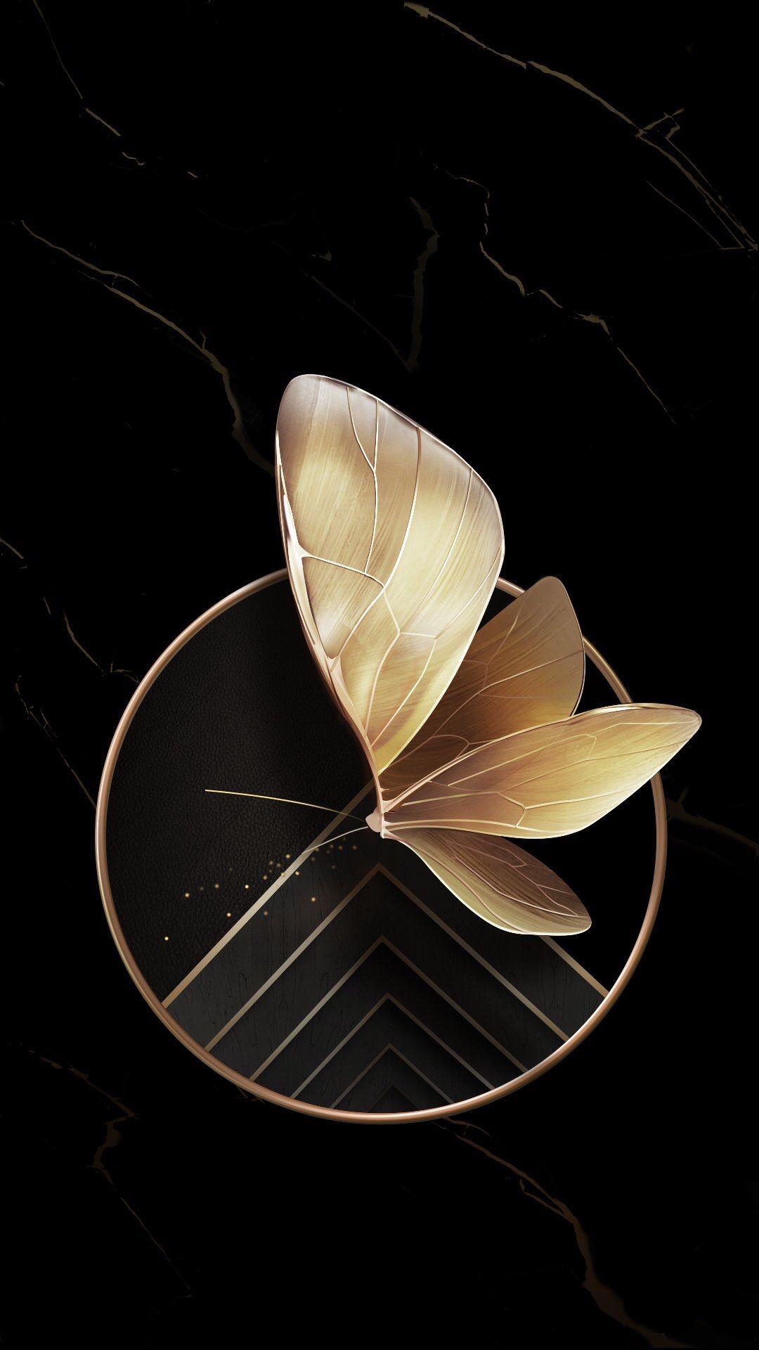 Black and Gold Butterfly Wallpapers Top Free Black and Gold Butterfly Backgrounds